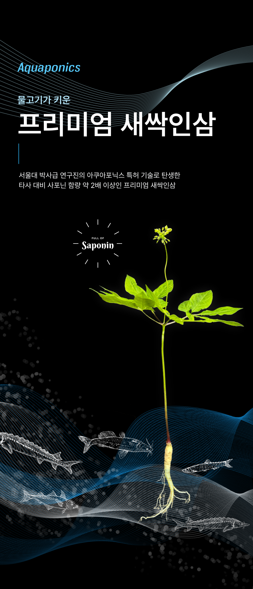 d8a88538bcea3d1286b6668b272293aa_1749777958_0292.png